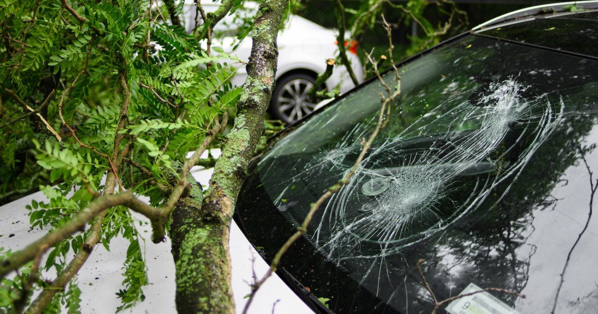 Does Car Warranty Cover a Cracked Windshield? Find Out!