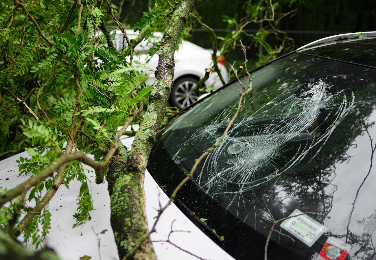 does car warranty cover cracked windshield